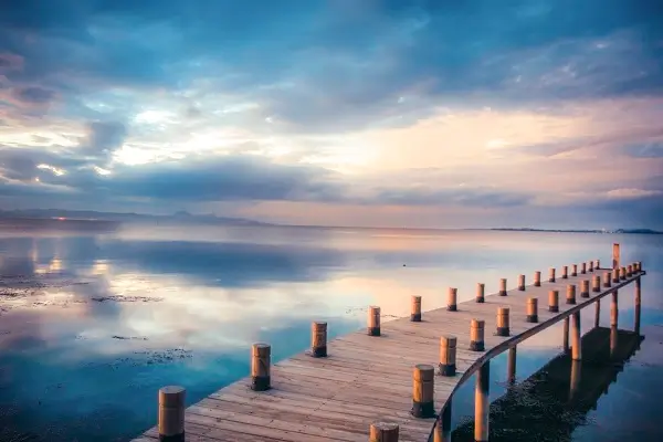 沅江美食皇后在哪里